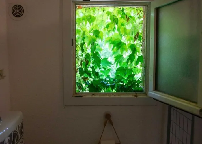 Appartement Calme & Cosy Vue Montagne * Corte (Corsica)