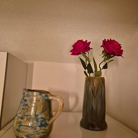 Appartamento Joli Calme Vue Montagne Dans Le Centre